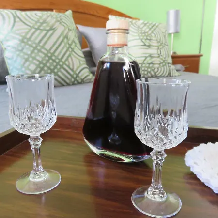 Casa Do Boteco - Douro Apartamento *